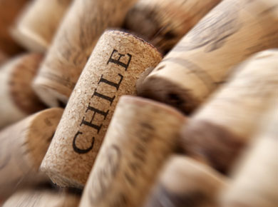 Chile cork