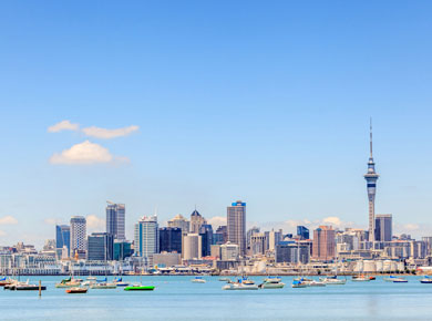 Auckland sky tower
